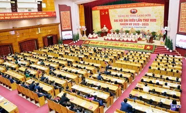 cd2013647-resize.jpg