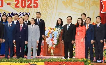 cd2013639-resize.jpg
