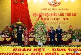 cd2015126-resize.jpg