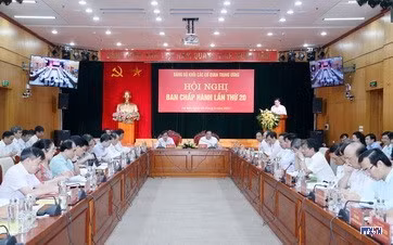 cd204134-resize.jpg