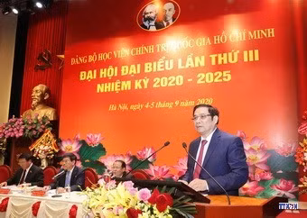 cd208881-resize.jpg