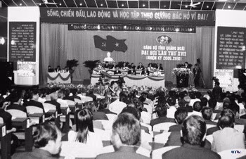 0510571-resize.jpg