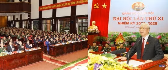 cd209384-resize.jpg