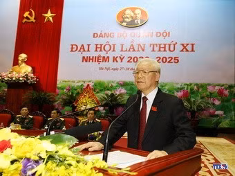 cd209385-resize.jpg