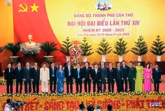 cd2014264-resize.jpg