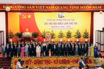 cd2014263-resize.jpg