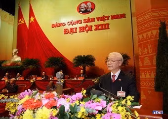cd215084-resize.jpg