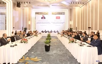cd235426-resize.jpg