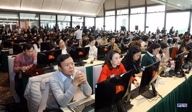 cd219097-resize.jpg