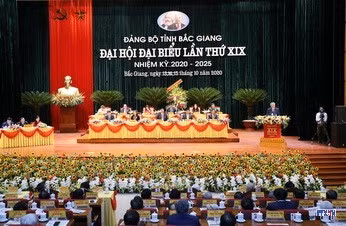 cd2010741-resize.jpg
