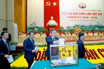 cd2010279-resize.jpg