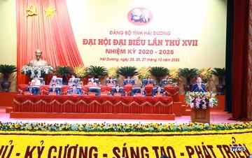 cd2010242-resize.jpg