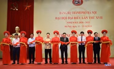 cd2010403-resize.jpg