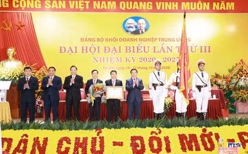 cd2010220-resize.jpg