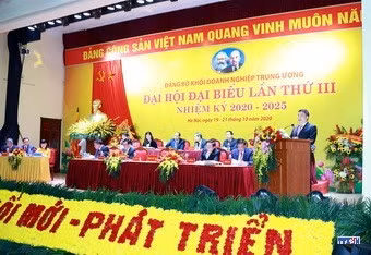 cd2010218-resize.jpg