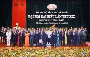 cd2010766-resize.jpg