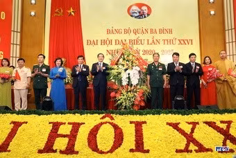cd205024-resize.jpg