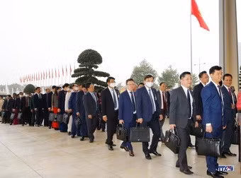 cd211960-resize.jpg