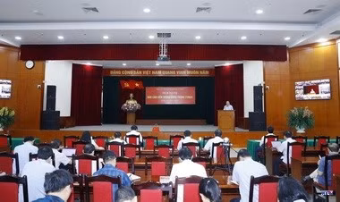 cd229311-resize.jpg