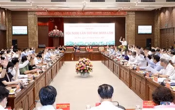 cd207353-resize.jpg