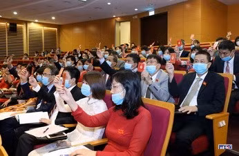 cd207322-resize.jpg