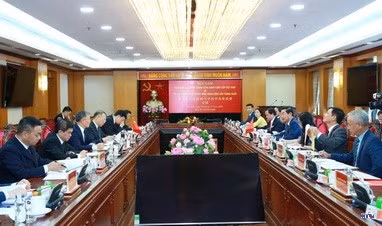 cd2316696-resize.jpg