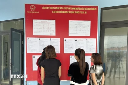 Cử tri xem bảng niêm yết danh sách chính thức, tiểu sử tóm tắt những người ứng cử đại biểu Quốc hội khóa XVI và đại biểu Hội đồng nhân dân tỉnh Quảng Trị nhiệm kỳ 2026-2031. (Ảnh: TTXVN phát)
