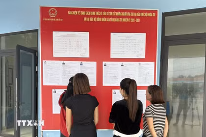 Cử tri xem bảng niêm yết danh sách chính thức, tiểu sử tóm tắt những người ứng cử đại biểu Quốc hội khóa XVI và đại biểu Hội đồng nhân dân tỉnh Quảng Trị nhiệm kỳ 2026-2031. (Ảnh: TTXVN phát)