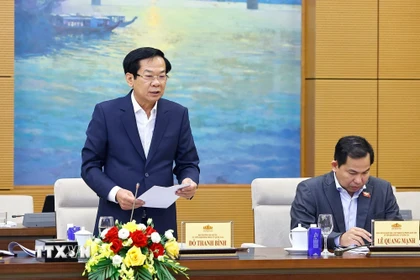 Bộ trưởng Bộ Nội vụ Đỗ Thanh Bình, Ủy viên Hội đồng Bầu cử Quốc gia phát biểu. (Ảnh: Doãn Tấn/TTXVN)