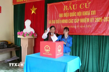 Già làng, người có uy tín Hồ Văn Xi và em Hồ Thị Thiều (cử tri lần đầu tiên đi bỏ phiếu) bỏ phiếu bầu đại biểu Quốc hội khóa XVI và đại biểu Hội đồng nhân dân các cấp nhiệm kỳ 2026-2031. (Ảnh: Tá Chuyên/TTXVN)