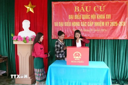 Đồng bào Bru-Vân Kiều bản Nước Đắng hân hoan bầu đại biểu Quốc hội và Hội đồng Nhân dân các cấp nhiệm kỳ 2026-2031. (Ảnh: Tá Chuyên/TTXVN)
