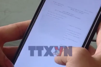 Cử tri trẻ Đà Nẵng ứng dụng công nghệ số trong bầu cử