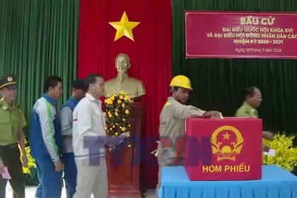 Cà Mau: Rộn ràng không khí bầu cử sớm tại cụm đảo Hòn Khoai