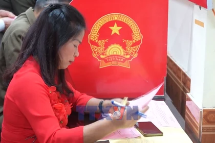 Hà Tĩnh gần 99% cử tri hoàn thành nghĩa vụ công dân 