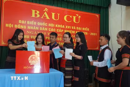 Cử tri khu vực miền núi thành phố Đà Nẵng nô nức đi bầu cử. (Ảnh: Trần Tĩnh/TTXVN)