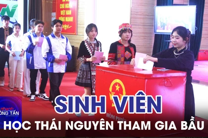 Sinh viên Đại học Thái Nguyên tham gia bầu cử 