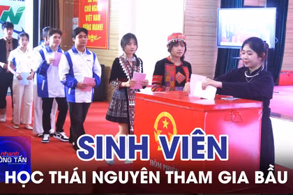 Sinh viên Đại học Thái Nguyên tham gia bầu cử 