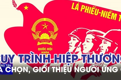Quy trình hiệp thương lựa chọn, giới thiệu người ứng cử Đại biểu Quốc hội và đại biểu HĐND