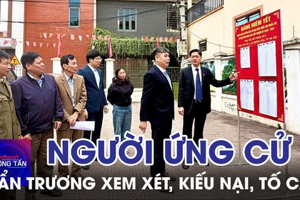 Khẩn trương xem xét, kiếu nại, tố cáo về người ứng cử