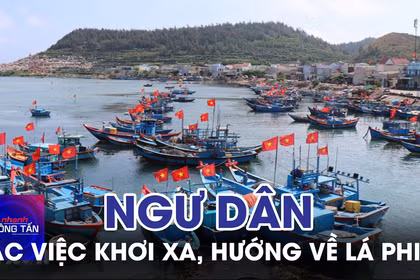 Quảng Ngãi: Ngư dân gác việc khơi xa, hướng về lá phiếu