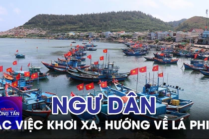 Quảng Ngãi: Ngư dân gác việc khơi xa, hướng về lá phiếu