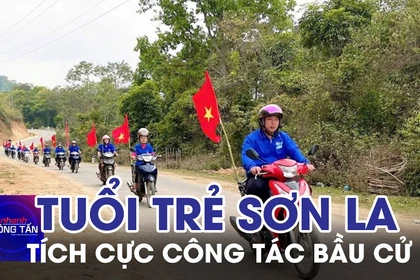 Tuổi trẻ Sơn La tích cực tham gia công tác bầu cử