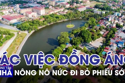 Gác việc đồng áng, nhà nông nô nức đi bỏ phiếu sớm 