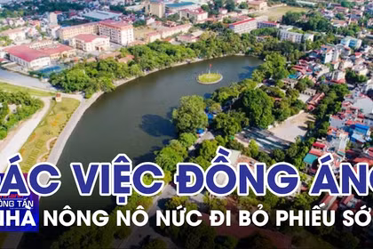 Gác việc đồng áng, nhà nông nô nức đi bỏ phiếu sớm 