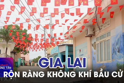 Rộn ràng không khí bầu cử tại Gia Lai 