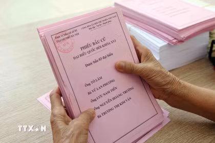 Phiếu bầu cử đã được tổ bầu cử phường Ngọc Hà chuẩn bị sẵn sàng cho Ngày hội lớn của đất nước. (Ảnh: Phạm Kiên/TTXVN)
