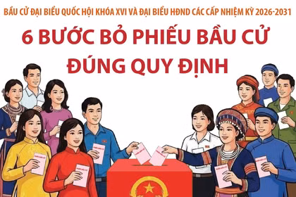 Bầu cử Quốc hội và HĐND: 6 bước bỏ phiếu bầu cử đúng quy định