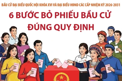Bầu cử Quốc hội và HĐND: 6 bước bỏ phiếu bầu cử đúng quy định