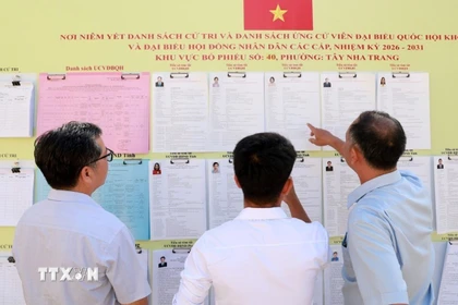 Cử tri khu phố Võ Cang, phường Tây Nha Trang (Khánh Hòa) xem danh sách cử tri niêm yết tại khu vực bỏ phiếu bầu cử. (Ảnh: Xuân Triệu/TTXVN)