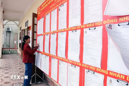 Việc niêm yết danh sách và tiểu sử các ứng cử viên được các đơn vị bầu cử thực hiện theo đúng quy định. (Ảnh: Nguyễn Chinh/TTXVN)